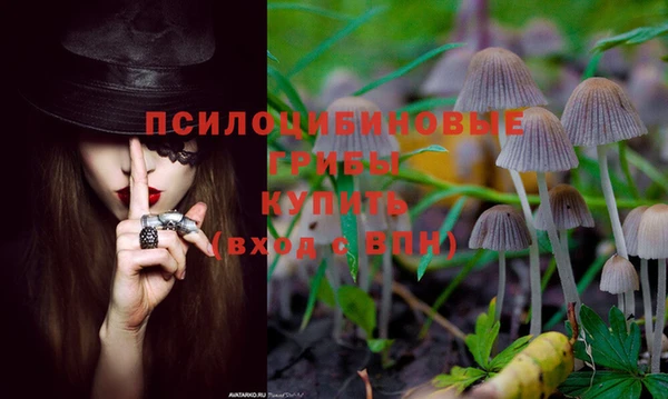 индика Алексеевка