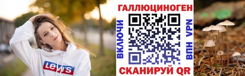 Купить Светлогорск Галлюциногенные грибы MAGIC MUSHROOMS